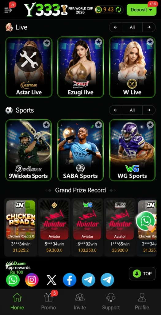 Y 333 game